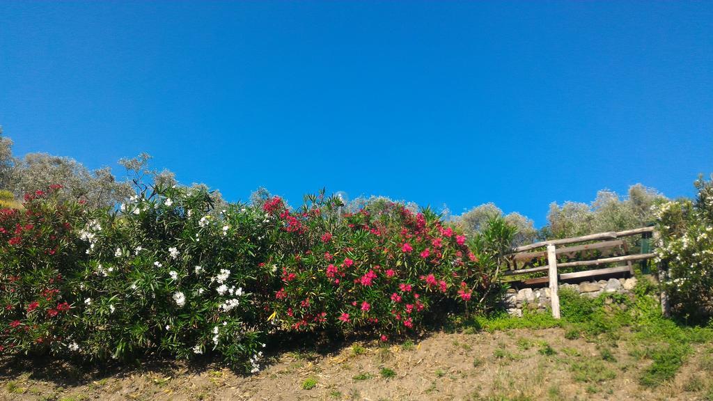Agriturismo La Quiete Levanto Zewnętrze zdjęcie